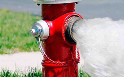 Real Big Dick Energy